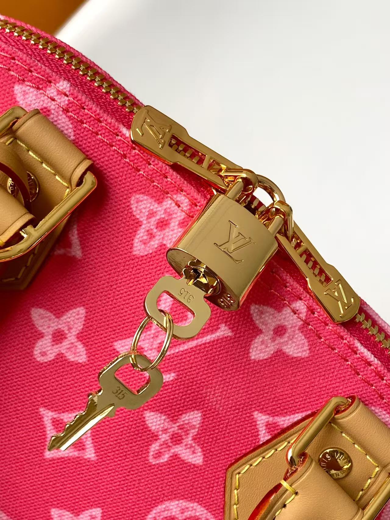 Louis Vuitton Basic Bag Canvas Beige M-l