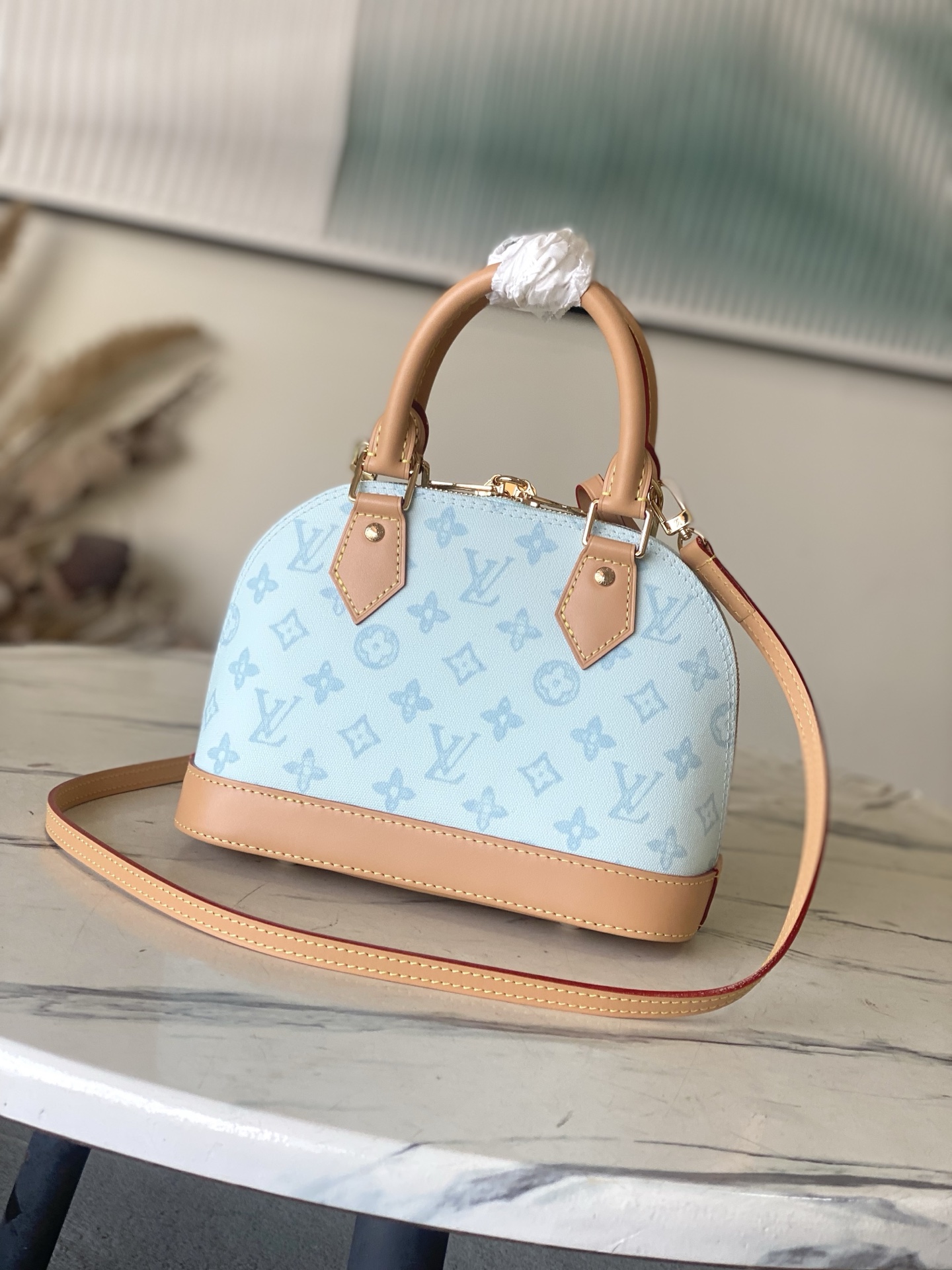 Louis Vuitton Basic Bag Canvas M-l