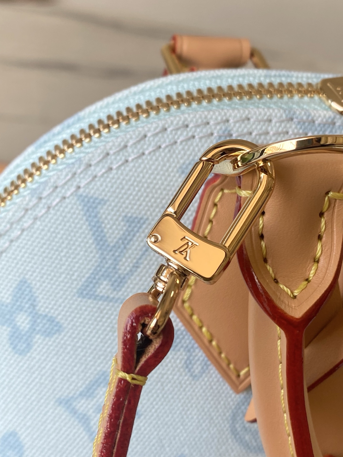 Louis Vuitton Basic Bag Canvas M-l