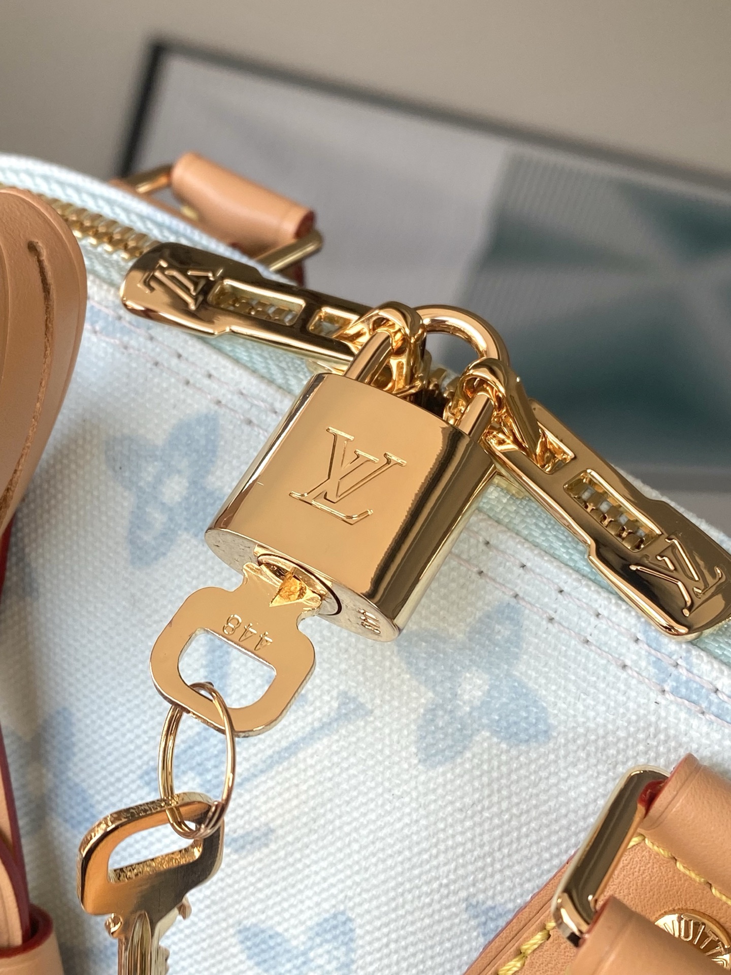 Louis Vuitton Basic Bag Canvas M-l