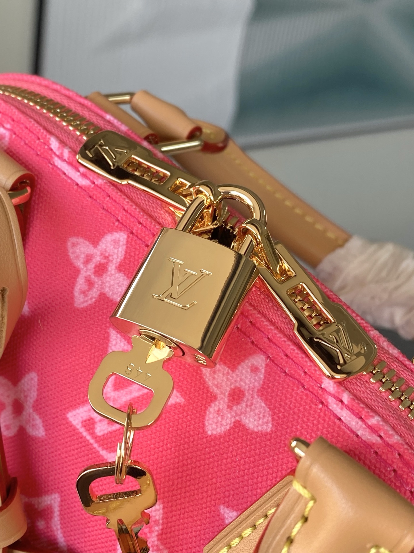 Louis Vuitton Basic Bag Canvas M-l