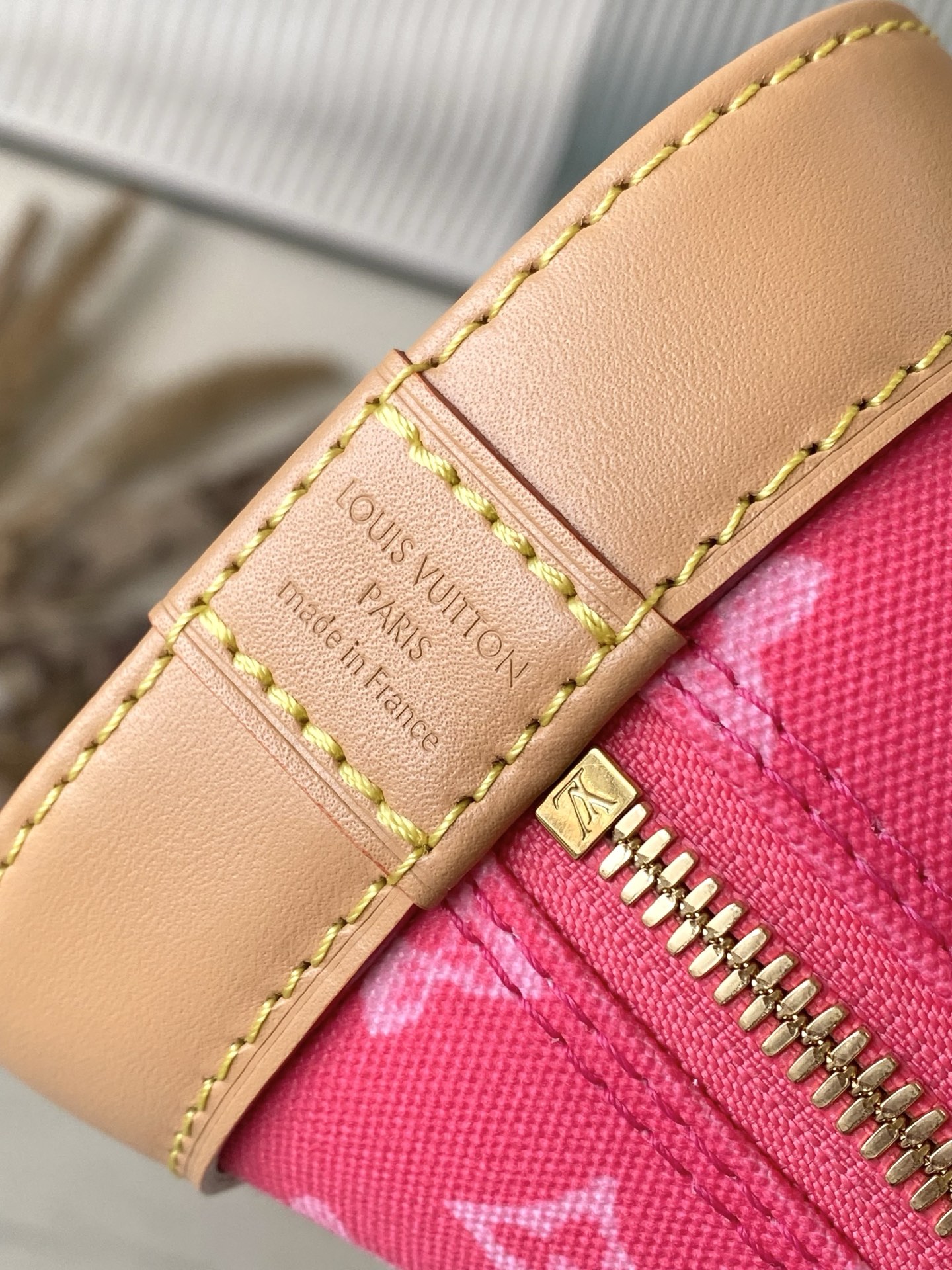 Louis Vuitton Basic Bag Canvas M-l