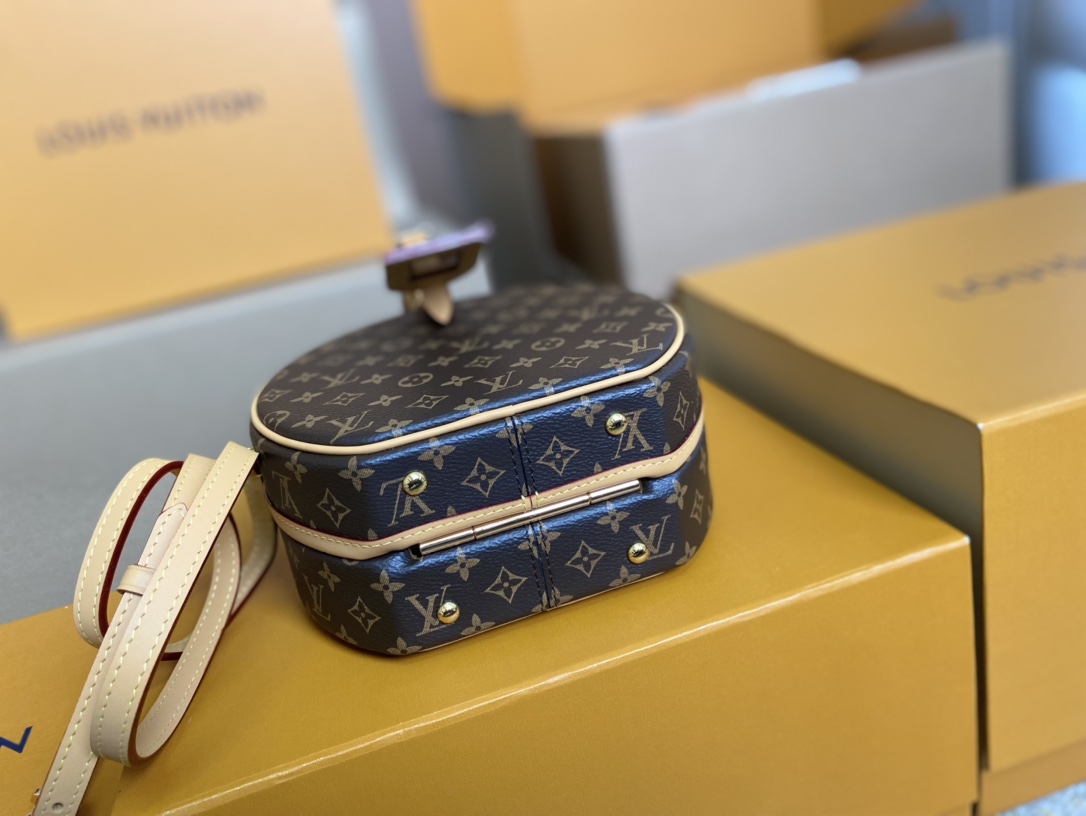 Louis Vuitton Basic Bag Cow Leather M-s