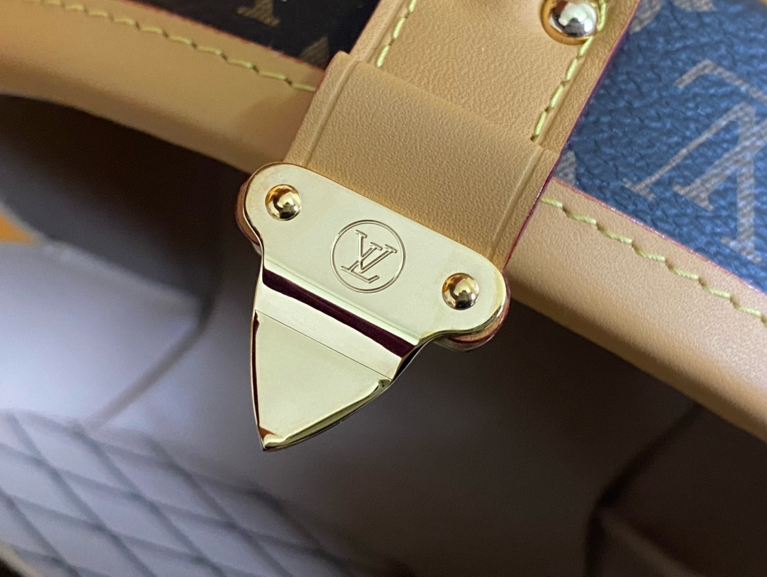 Louis Vuitton Basic Bag Cow Leather M-s