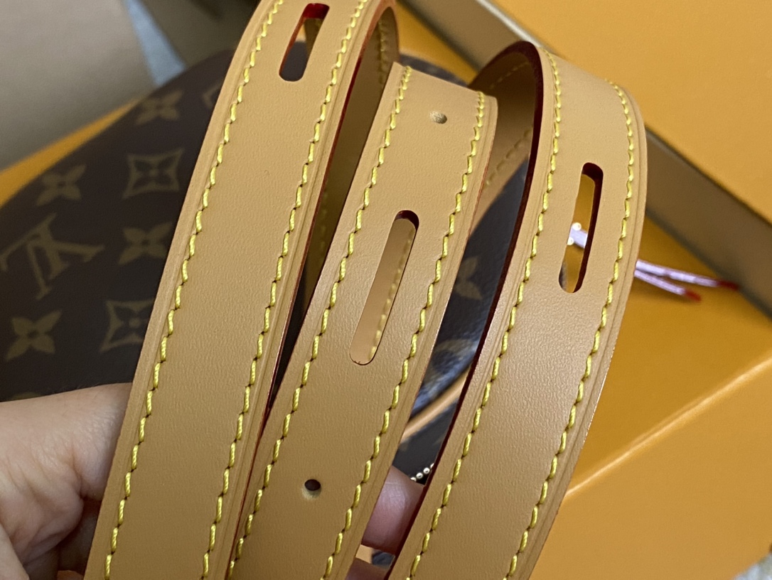 Louis Vuitton Basic Bag Cow Leather M-l-s