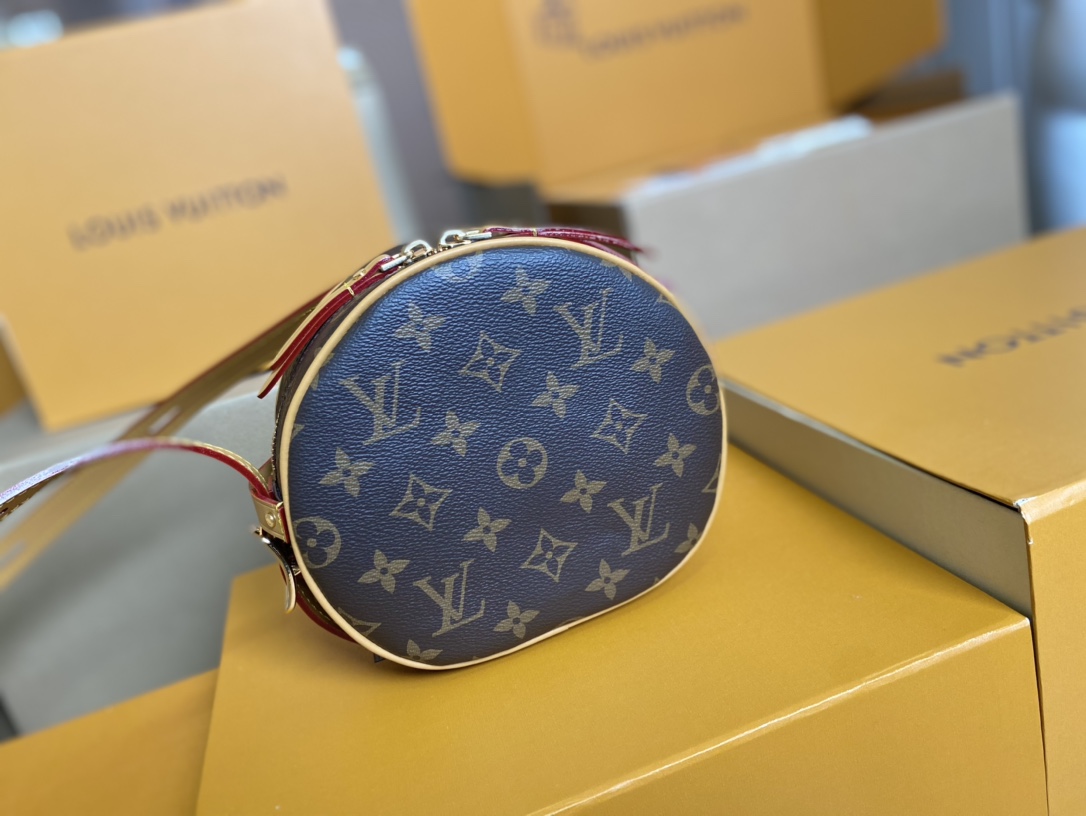 Louis Vuitton Basic Bag Cow Leather M-l-s
