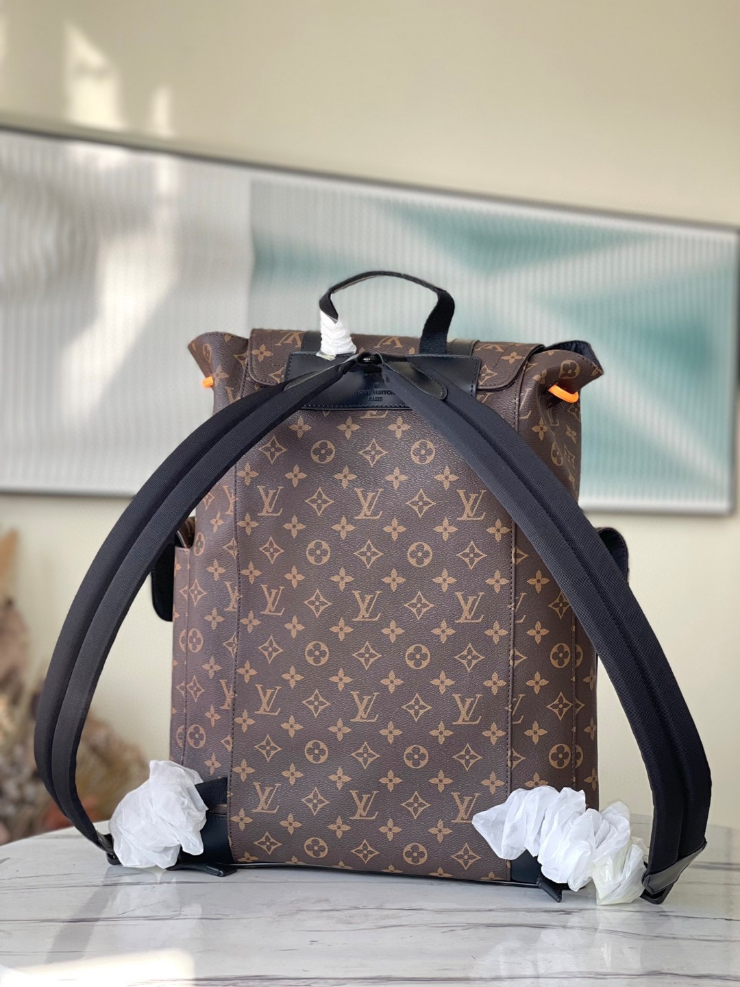 Louis Vuitton Backpack Canvas M-l-s