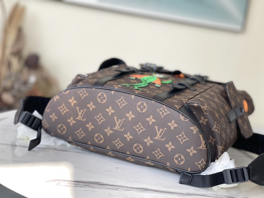 Louis Vuitton Backpack Canvas M-l-s