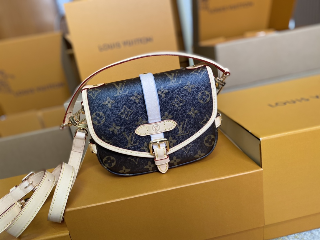 Louis Vuitton Basic Bag Cow Leather M-s