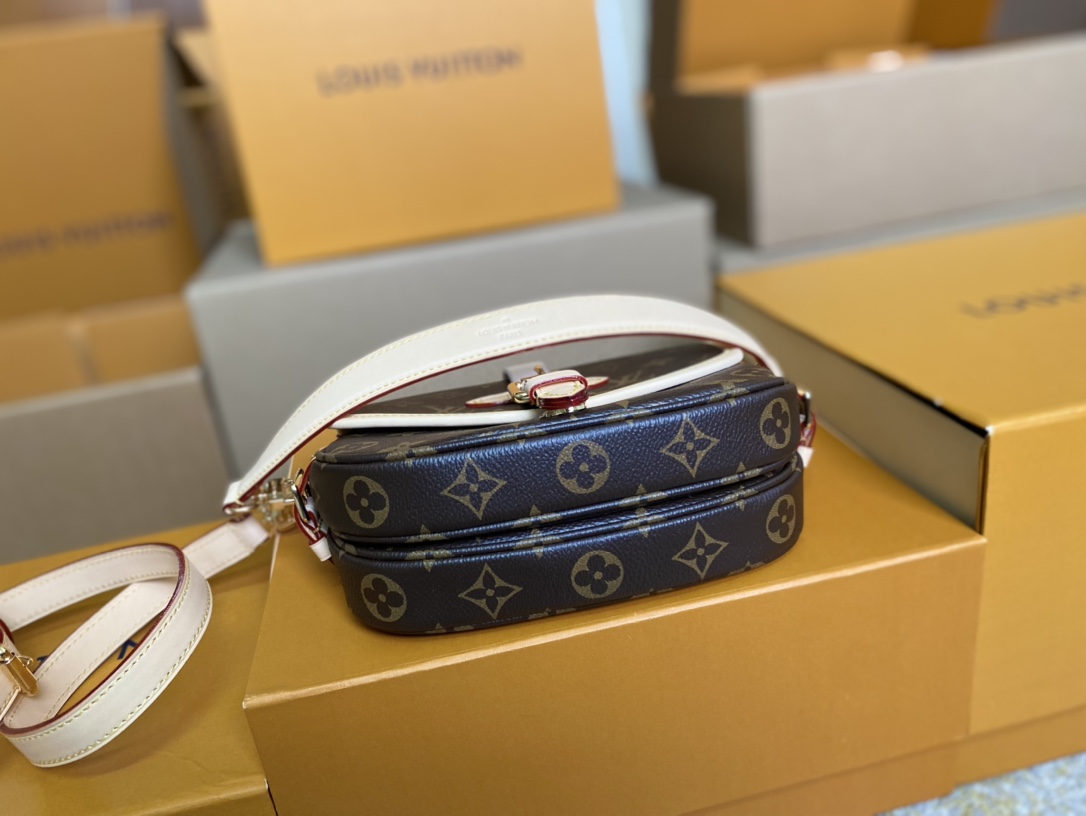 Louis Vuitton Basic Bag Cow Leather M-s