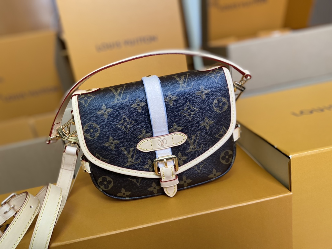 Louis Vuitton Basic Bag Cow Leather M-s