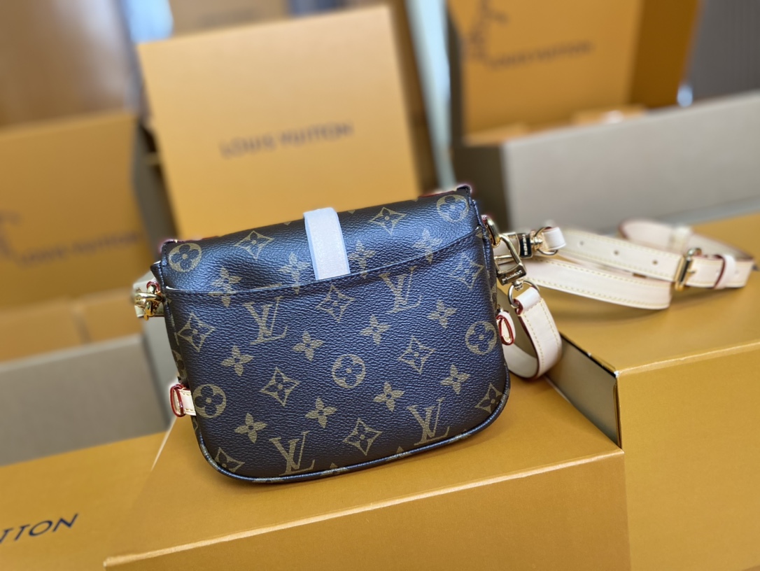 Louis Vuitton Basic Bag Cow Leather M-s