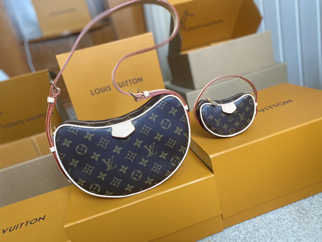 Louis Vuitton Basic Bag Canvas M-s