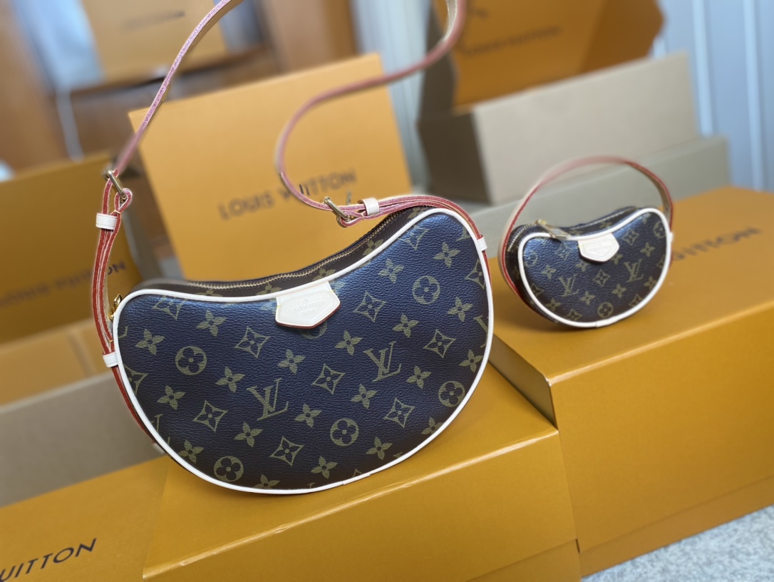 Louis Vuitton Basic Bag Canvas M-s