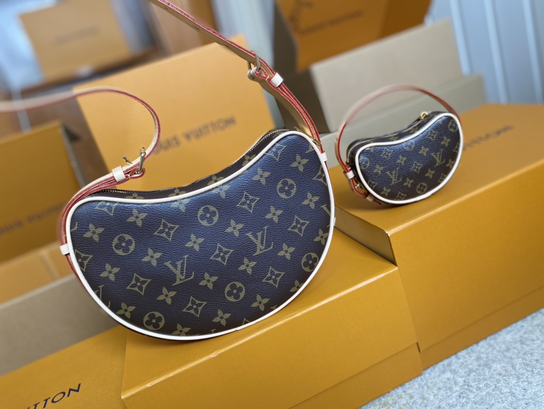 Louis Vuitton Basic Bag Canvas M-s