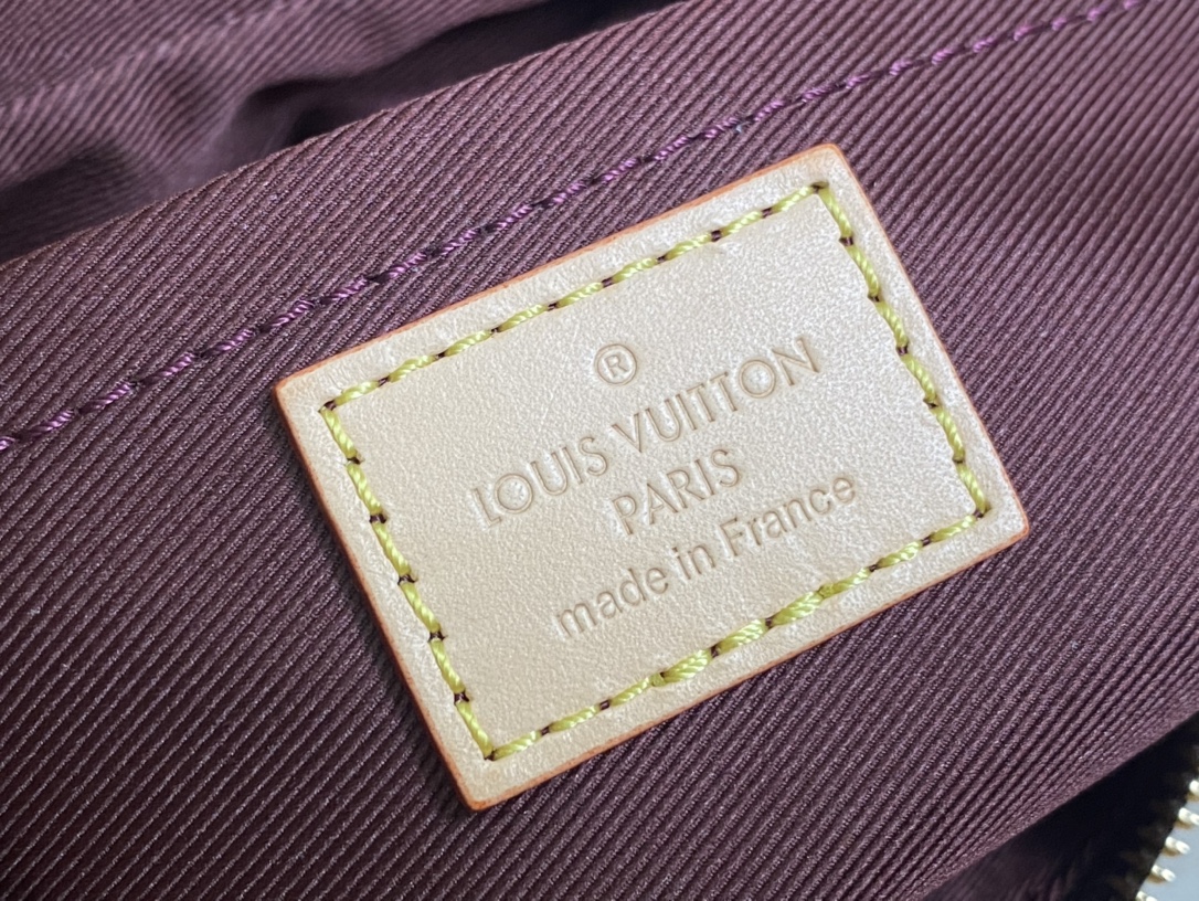 Louis Vuitton Basic Bag Canvas M-s