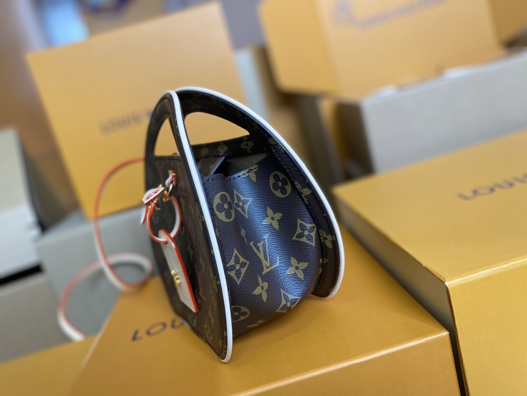 Louis Vuitton Basic Bag Canvas M-l