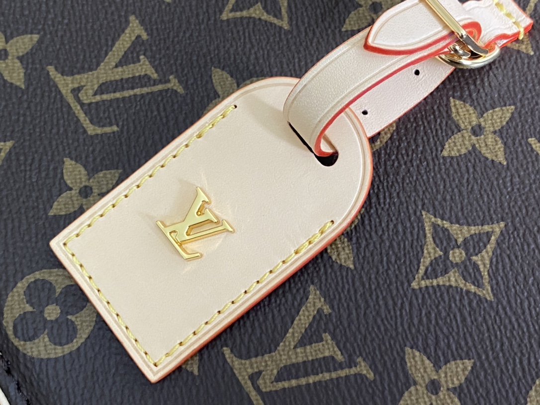 Louis Vuitton Basic Bag Canvas M-l