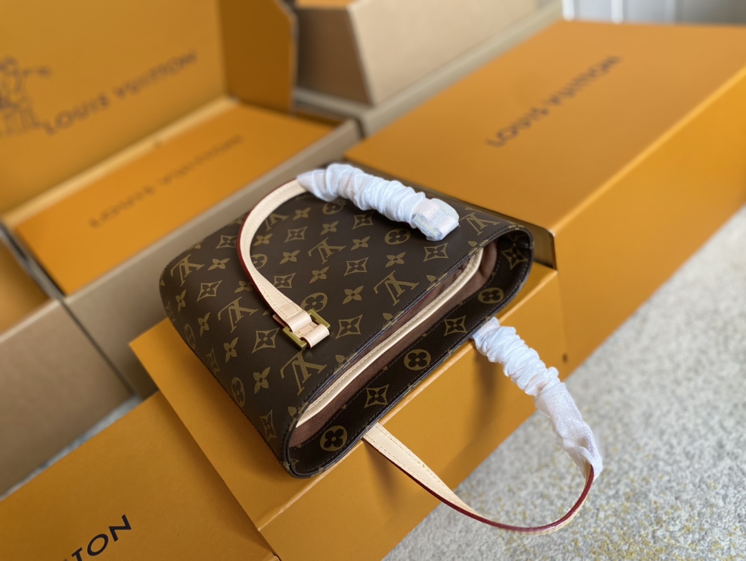 Louis Vuitton Basic Bag M-l-s