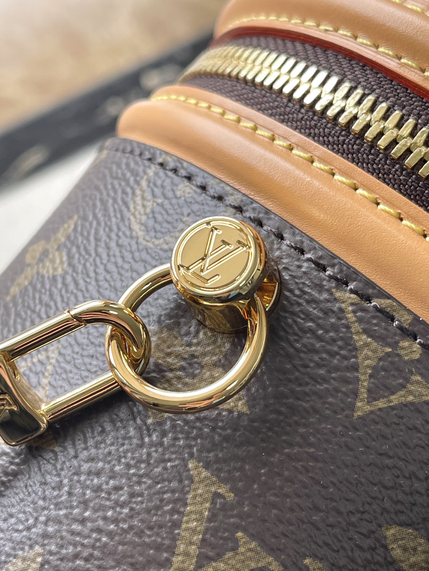 Louis Vuitton Basic Bag Canvas M-s