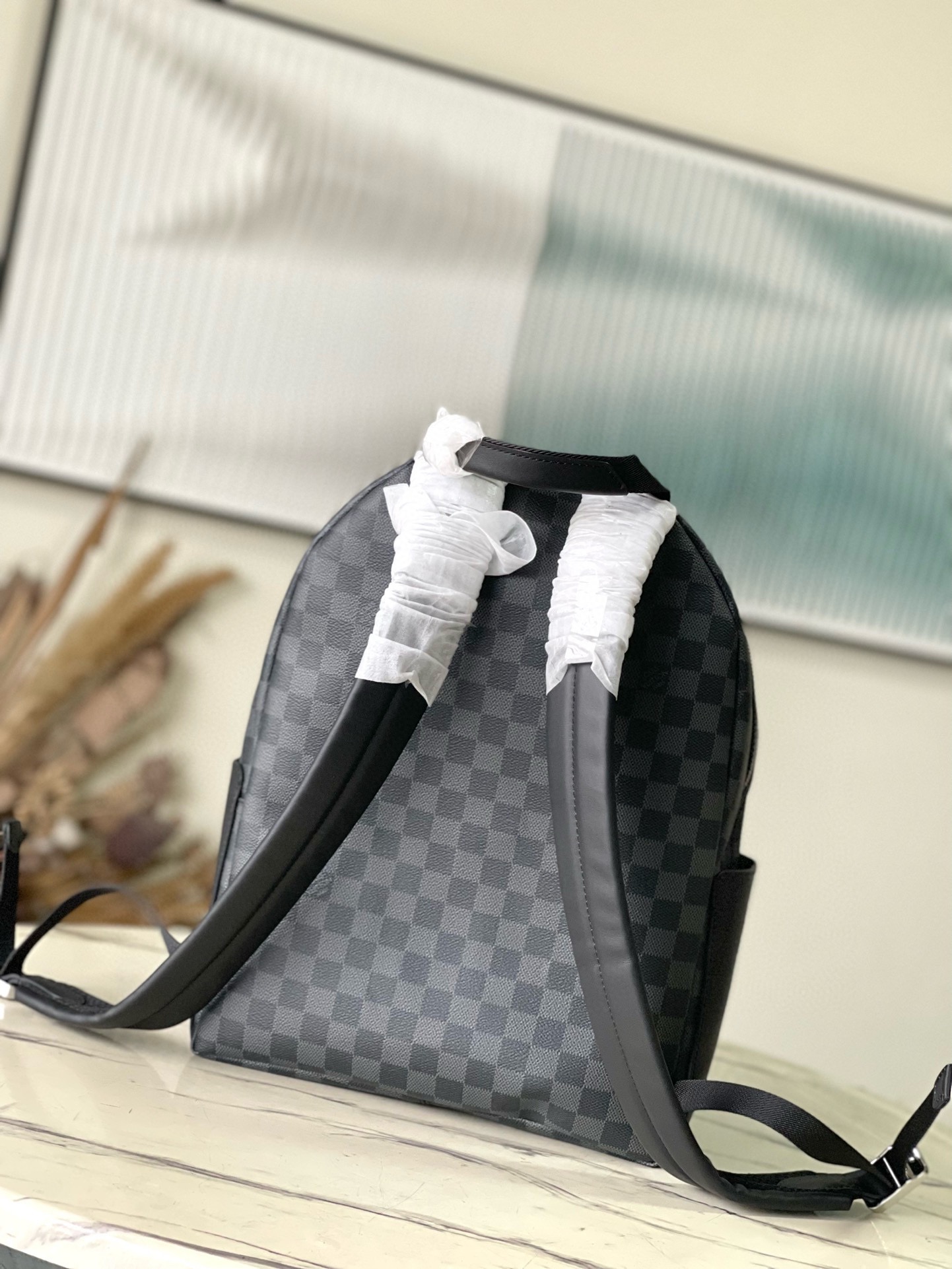 Louis Vuitton Backpack Canvas M-l-s