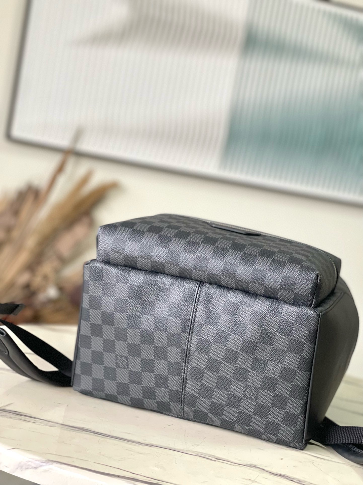 Louis Vuitton Backpack Canvas M-l-s