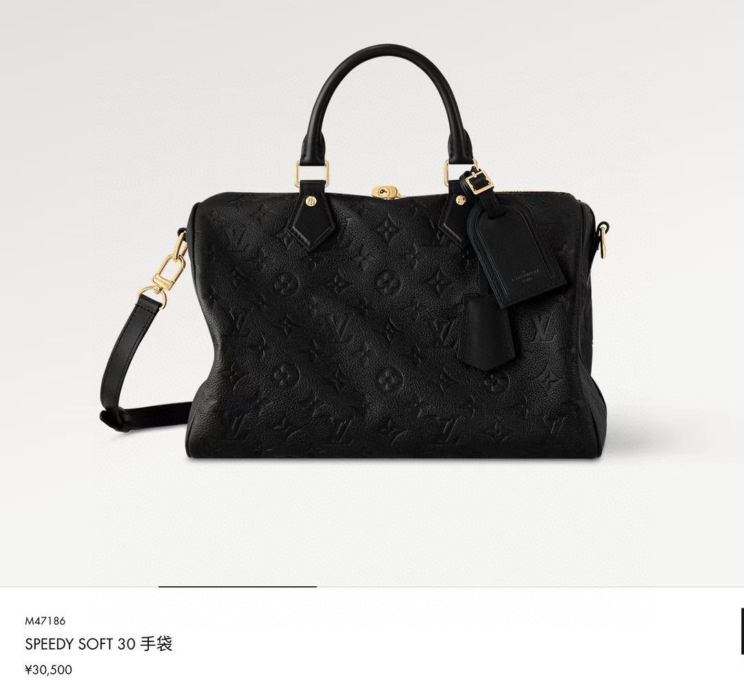 Louis Vuitton Basic Bag Cow Leather Black M-s