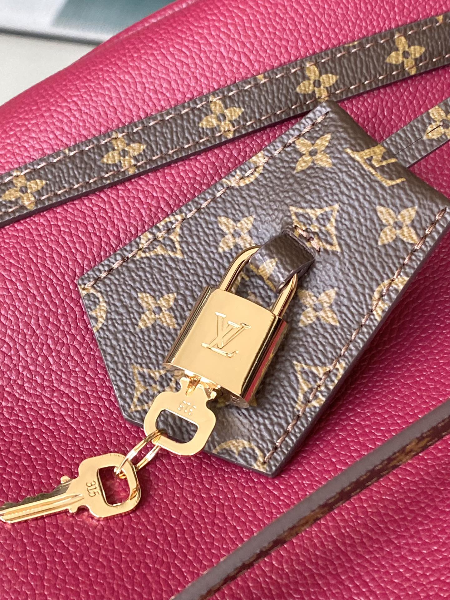 Louis Vuitton Basic Bag Cow Leather M-s