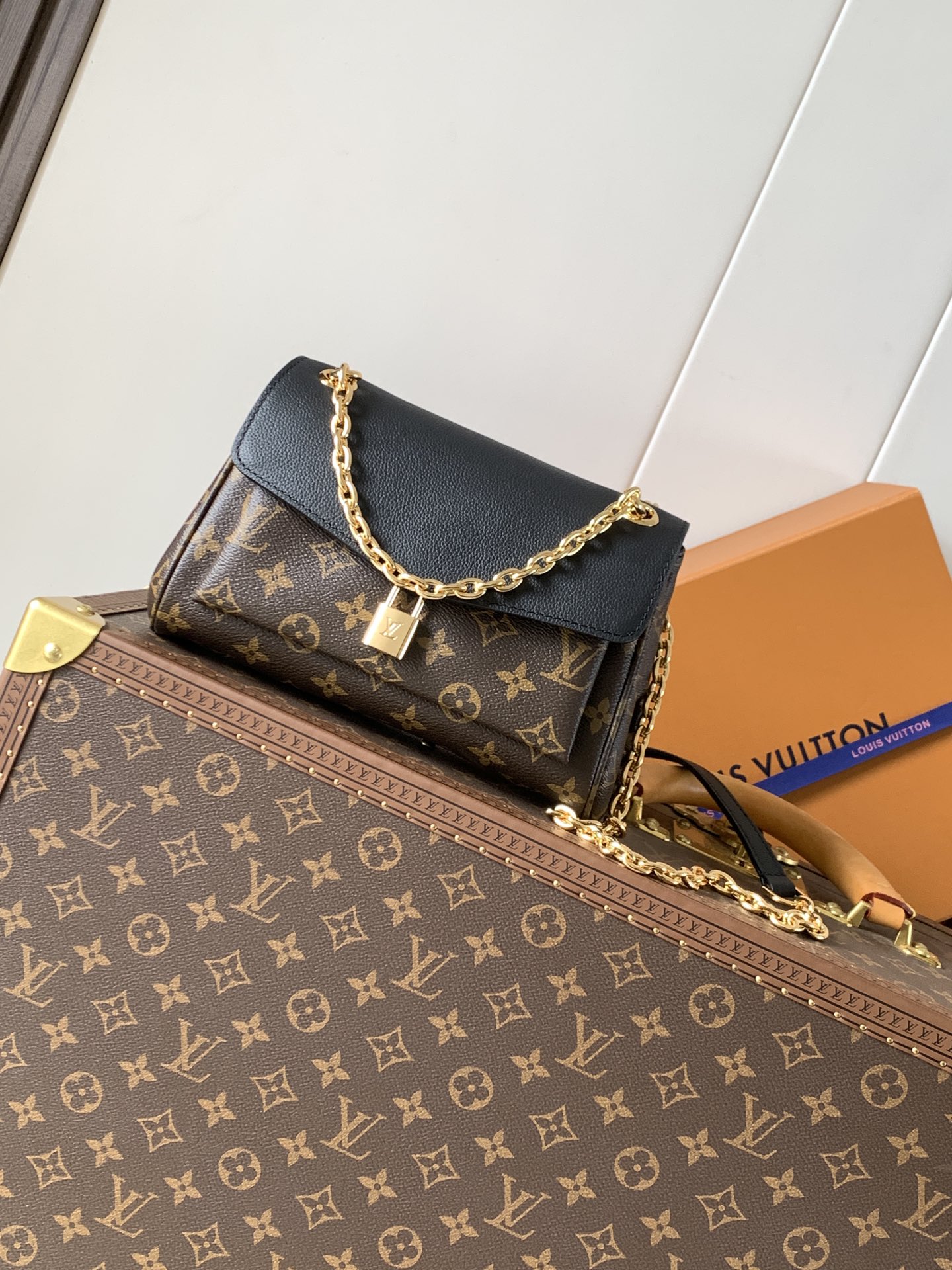 Louis Vuitton Basic Bag Canvas Black M