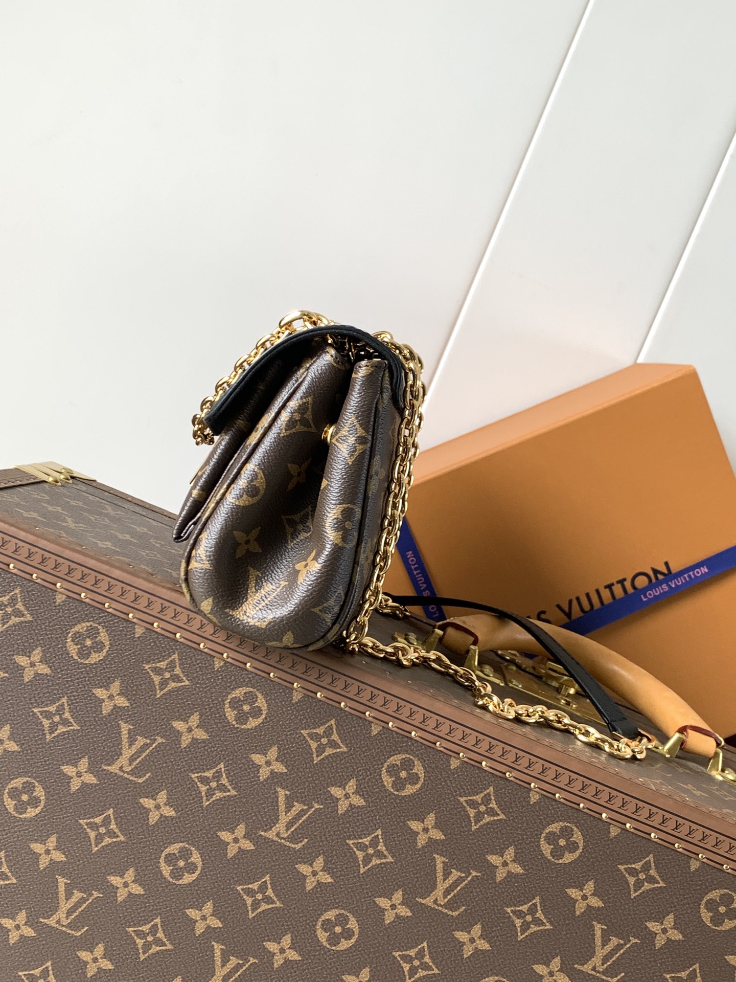 Louis Vuitton Basic Bag Canvas Black M