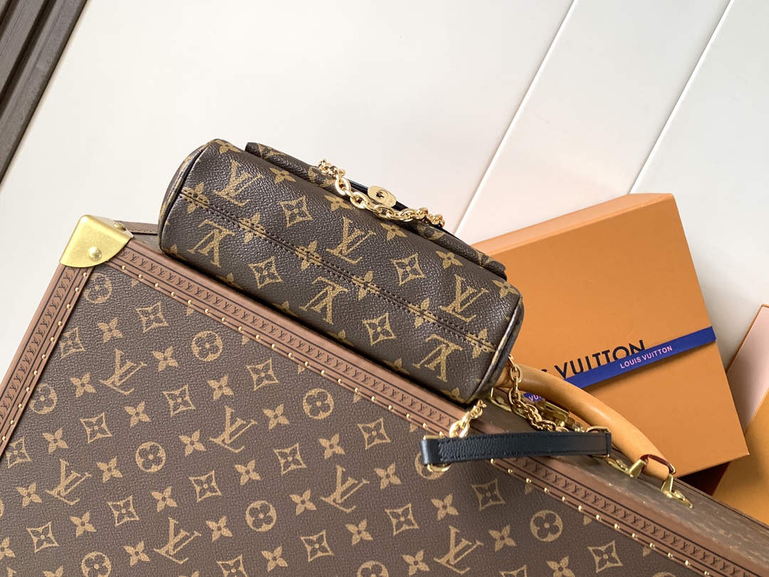 Louis Vuitton Basic Bag Canvas Black M
