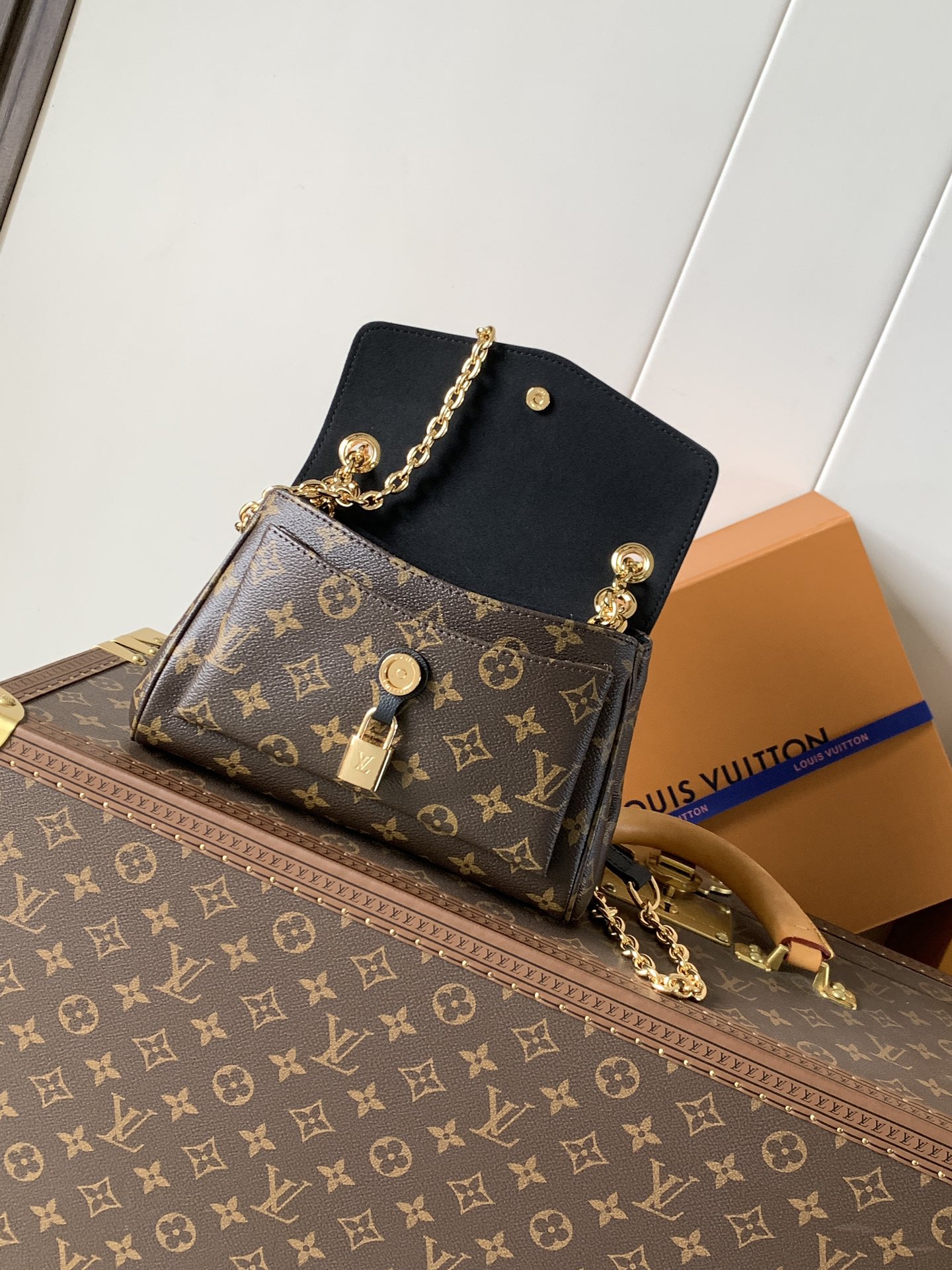 Louis Vuitton Basic Bag Canvas Black M