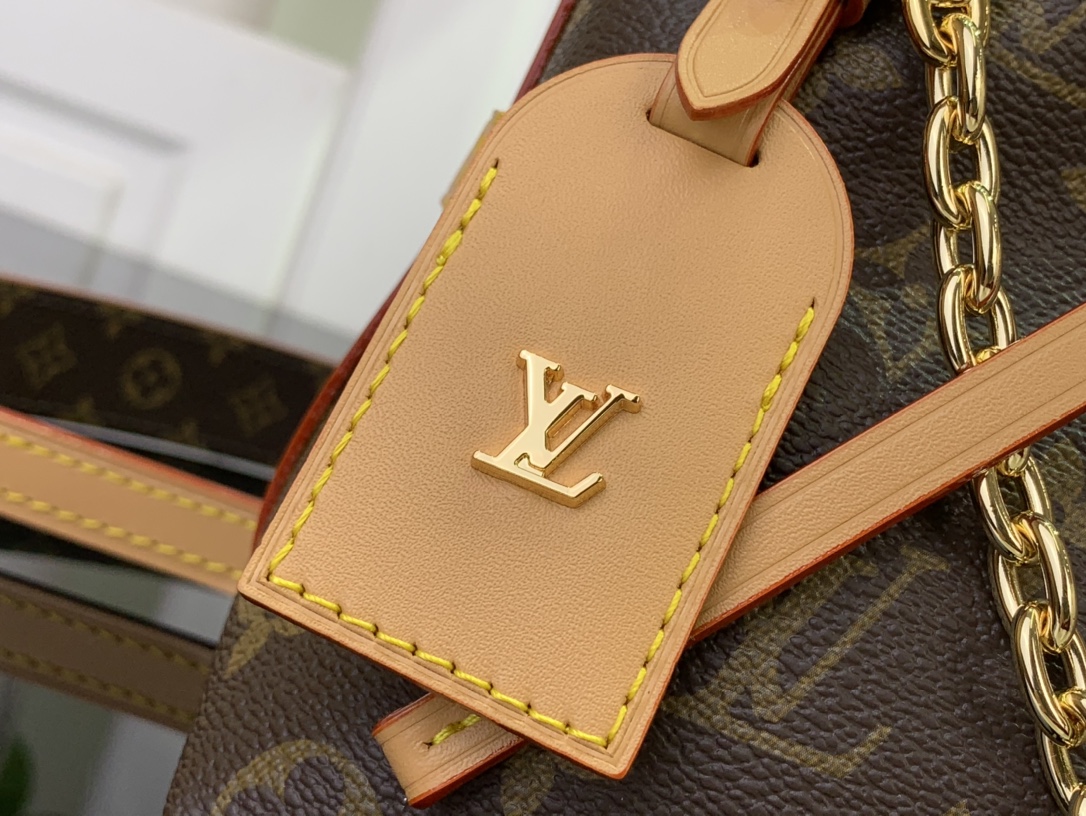 Louis Vuitton Basic Bag Canvas M-l