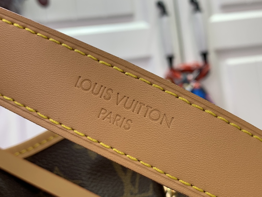 Louis Vuitton Basic Bag Canvas M-l