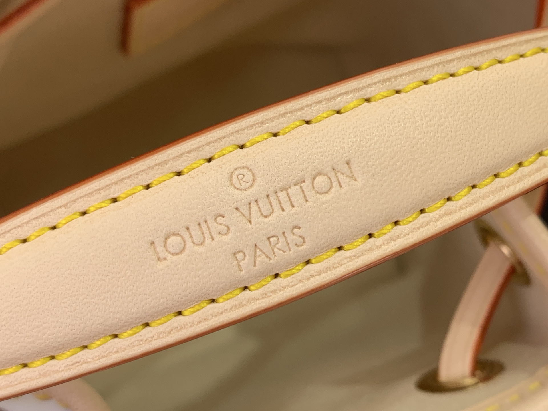 Louis Vuitton Basic Bag Cow Leather M