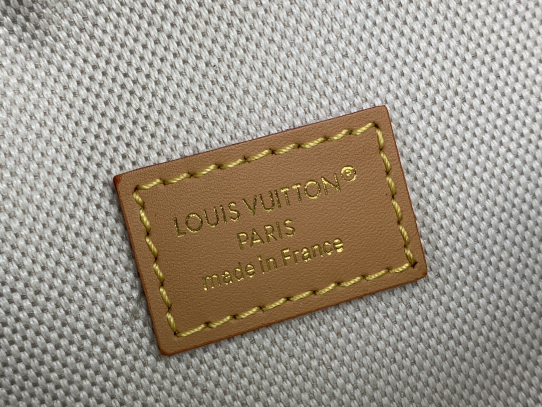 Louis Vuitton Basic Bag Canvas Green M-l-s