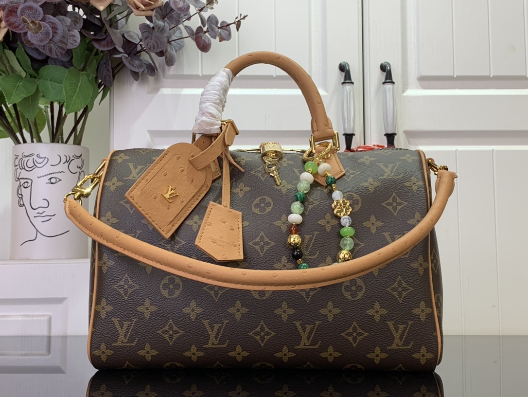Louis Vuitton Basic Bag Canvas M-s