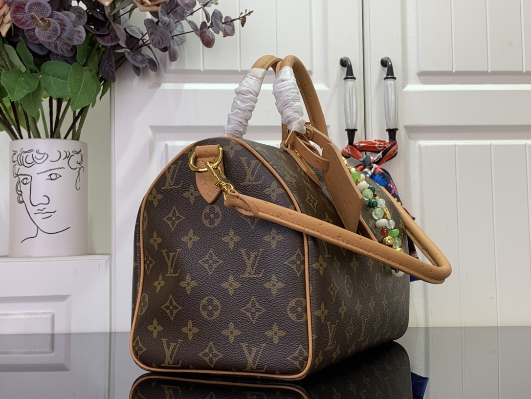 Louis Vuitton Basic Bag Canvas M-s
