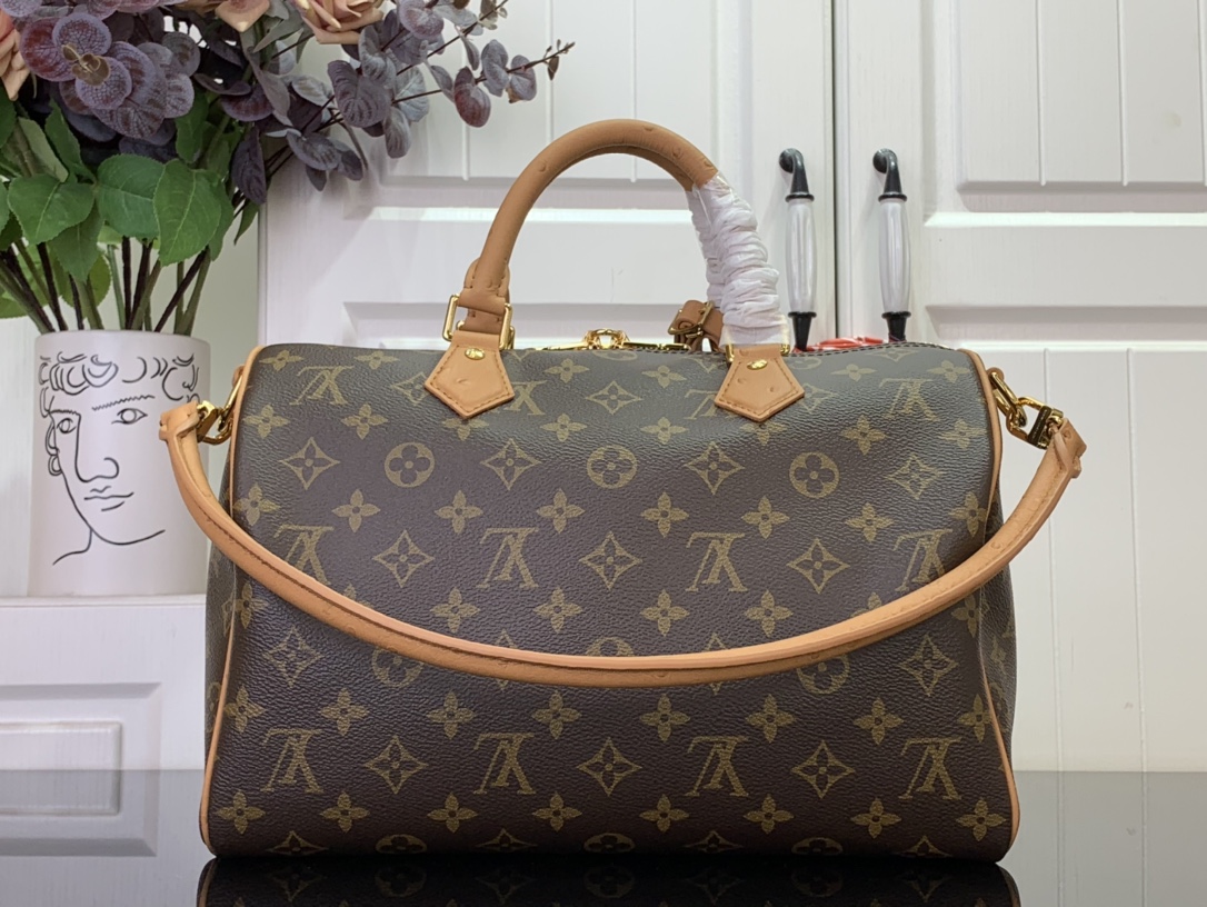 Louis Vuitton Basic Bag Canvas M-s