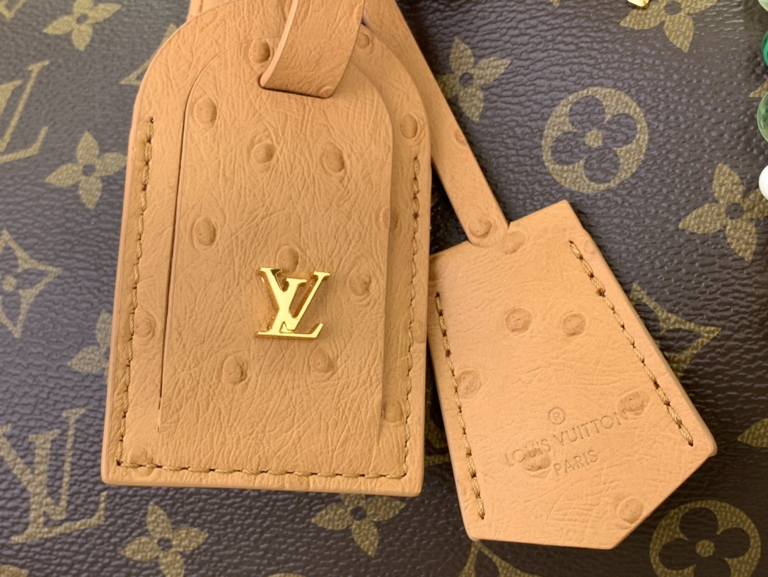 Louis Vuitton Basic Bag Canvas M-s