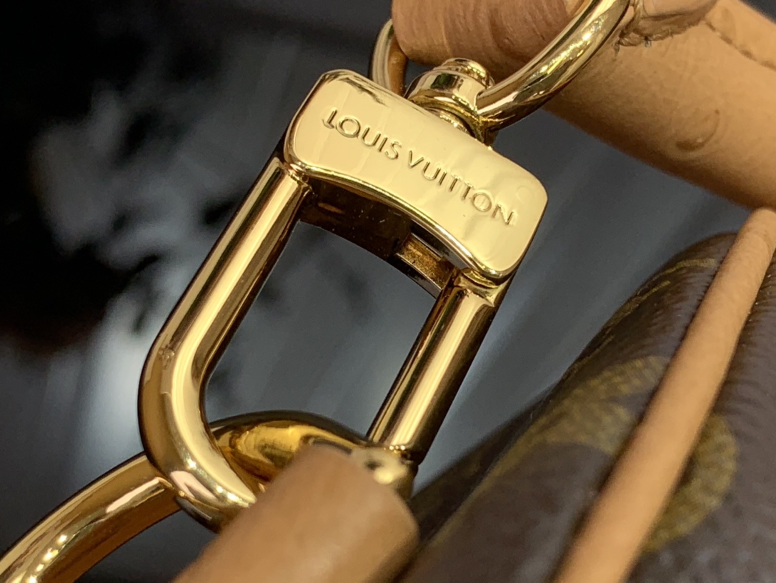 Louis Vuitton Basic Bag Canvas M-s