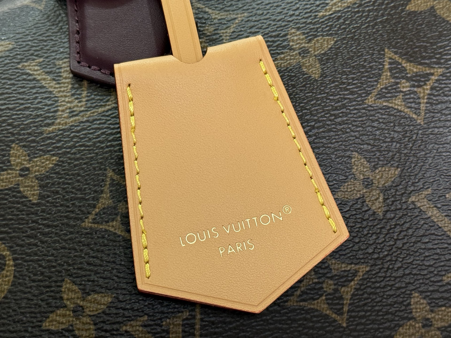 Louis Vuitton Basic Bag Canvas Black M-s