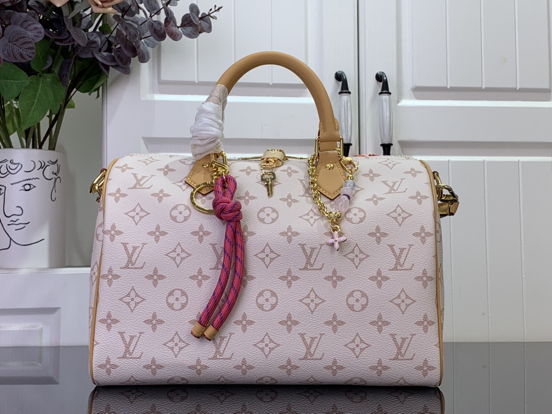 Louis Vuitton Basic Bag Canvas M-l-s