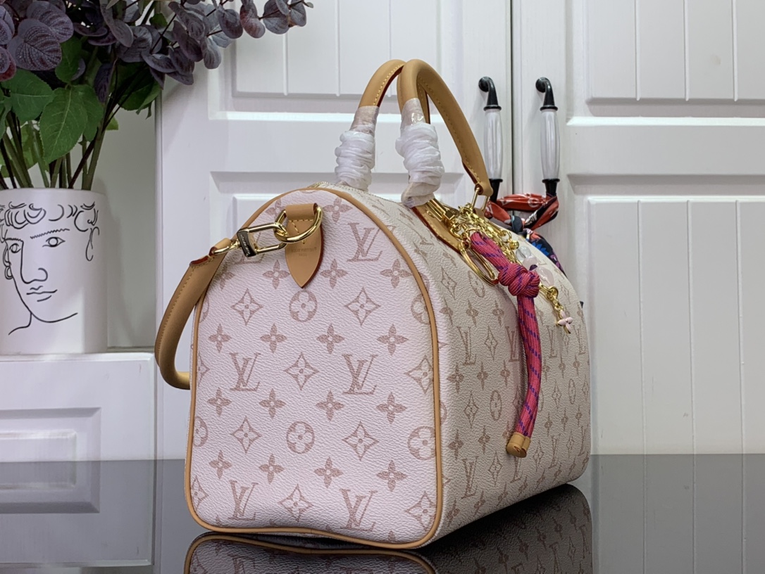 Louis Vuitton Basic Bag Canvas M-l-s