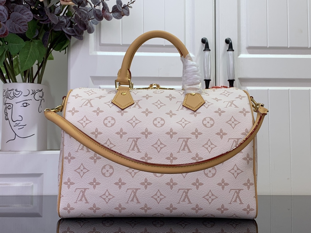 Louis Vuitton Basic Bag Canvas M-l-s