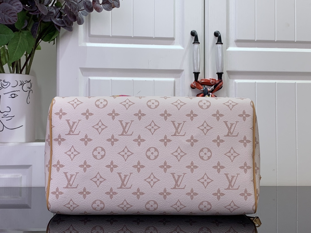 Louis Vuitton Basic Bag Canvas M-l-s