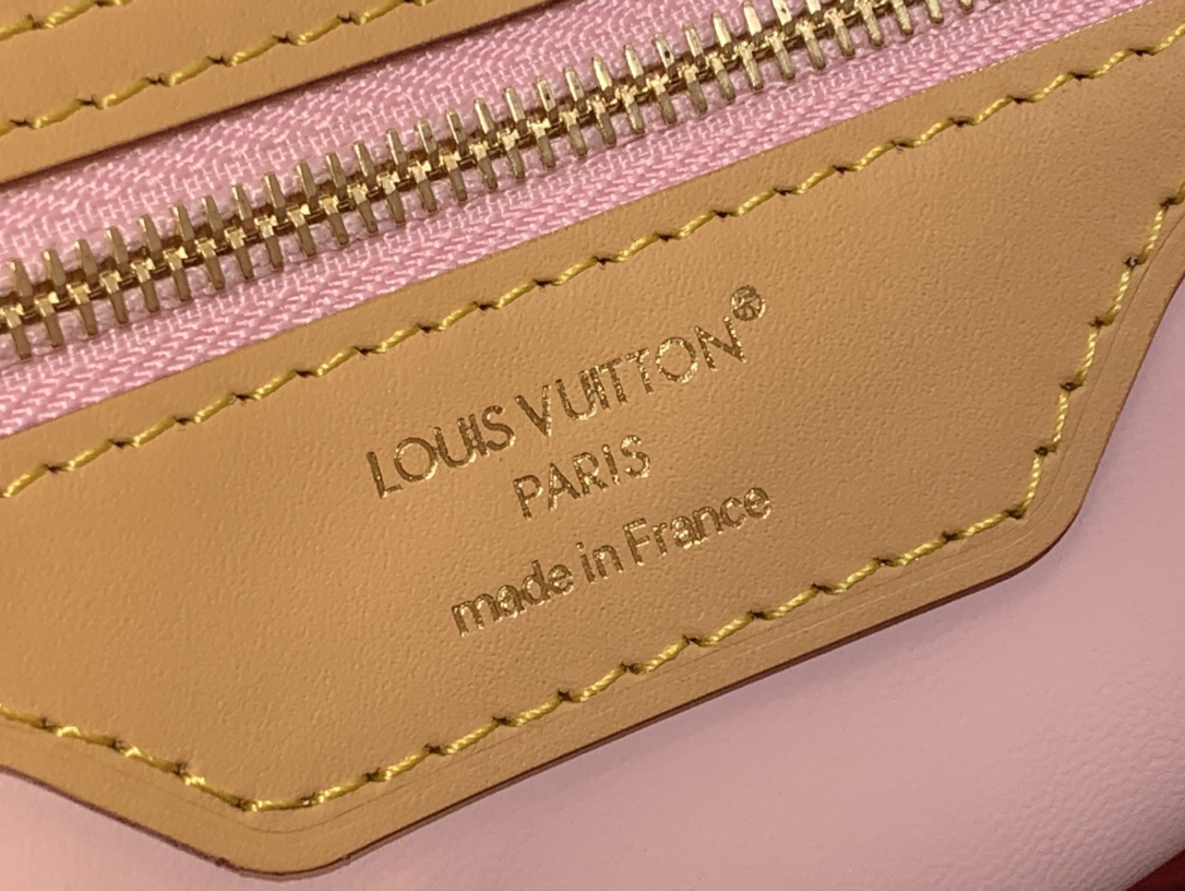 Louis Vuitton Basic Bag Canvas M-l-s