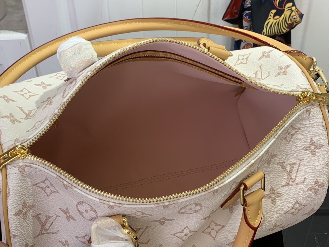 Louis Vuitton Basic Bag Canvas M-l-s