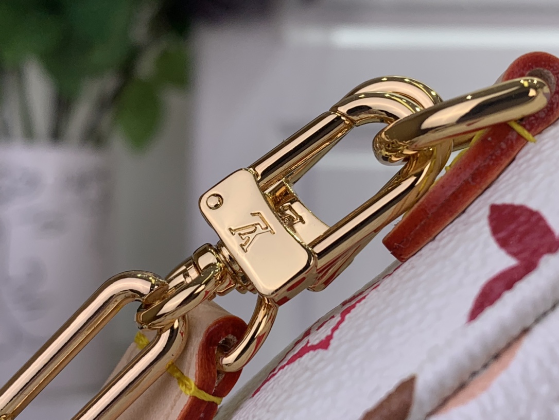 Louis Vuitton Basic Bag Canvas M-l-s