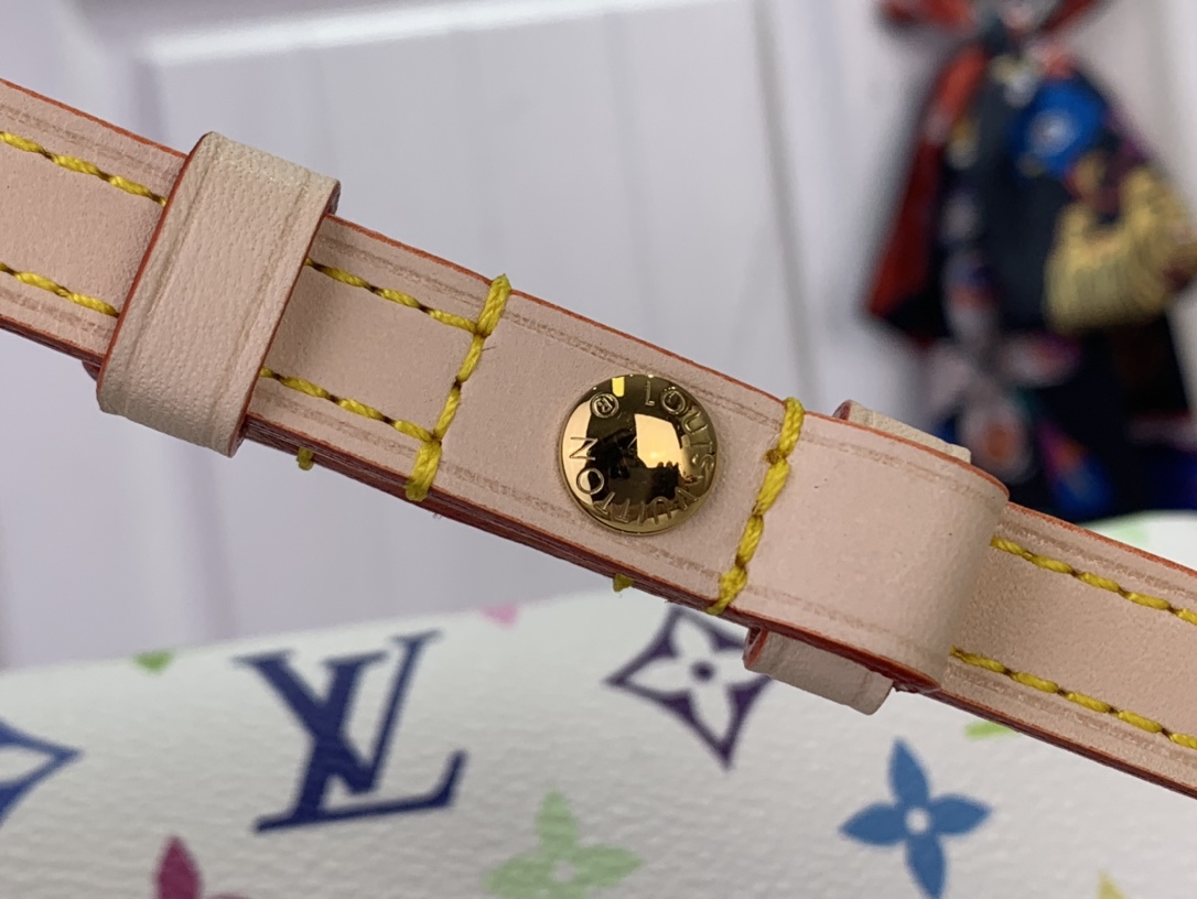 Louis Vuitton Basic Bag Canvas M-l-s